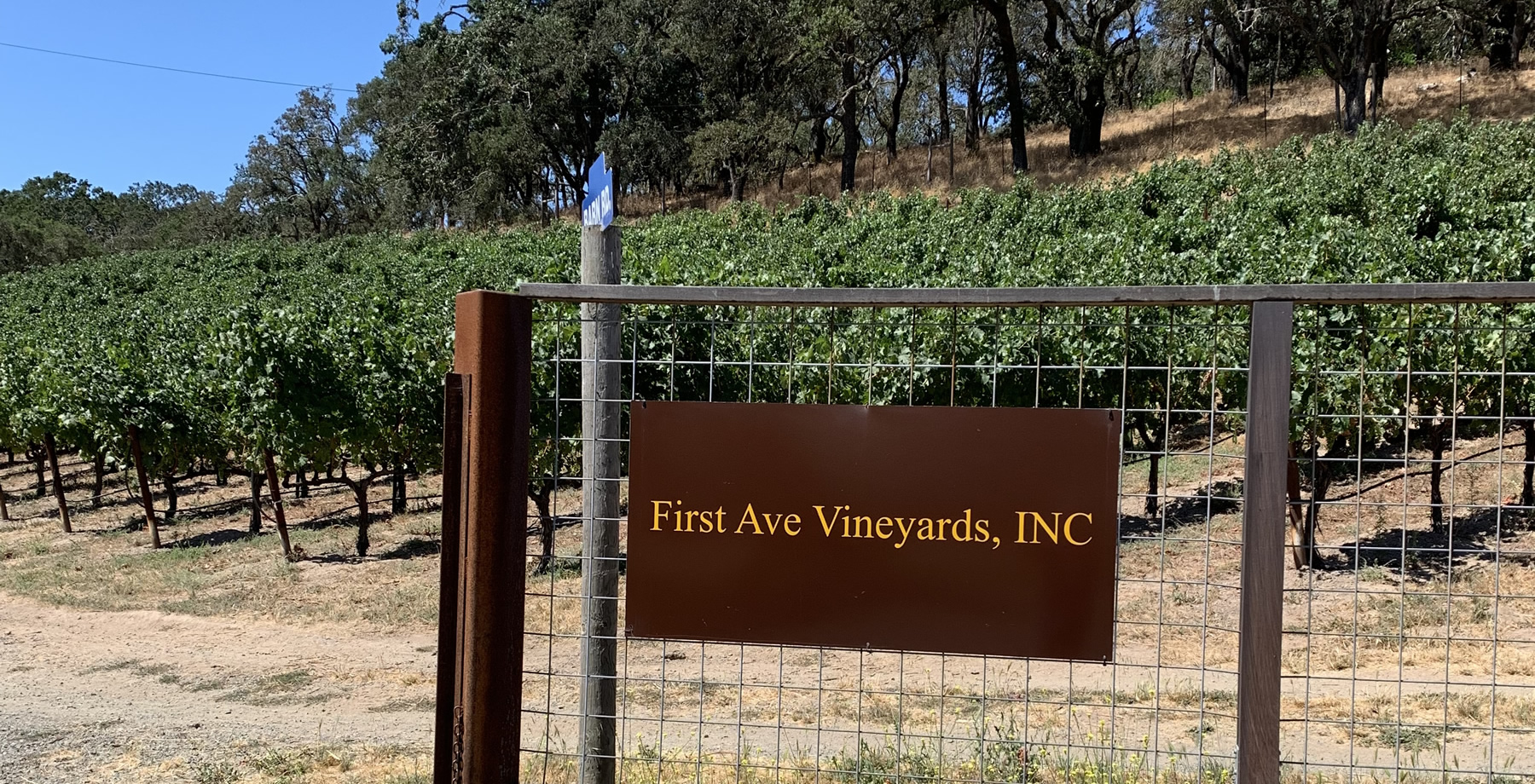 First Ave Vineyards